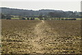 Footpath across field