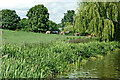 Pasture near Tixall in Staffordshire