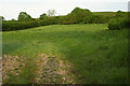 Field by Bookham Lane