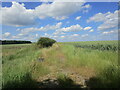 Footpath to Heighington Road