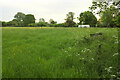ST7106 : Field near Brockhampton Bridge by Derek Harper