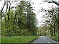 B4340 in woodland north of Tynygraig