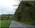 Road by woodland south of Pen-y-bont