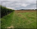 Path and farmland near Fairfield