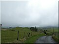 Moorland east of Brynafan