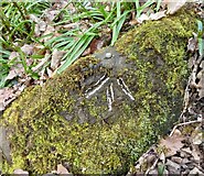 SE1336 : Benchmark on rock, Northcliffe Woods by Mel Towler