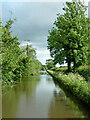 Staffordshire and Worcestershire Canal near Wildwood, Stafford