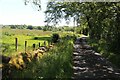 A shady lane near River Avon