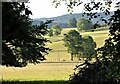 Capability Brown style, the landscape at Cowden