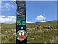 SJ0836 : A post erected in 2019 celebrating 100 years since Wayfarer (WM Robinson) crossed the Berwyns by David Medcalf