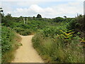 Paths at Ham Common, Poole