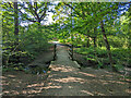 Footbridge over stream from Crawley Down Pond