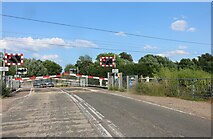 TL4944 : Hinxton level crossing by David Howard