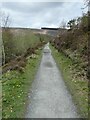 SN9165 : Cycle route cut into the slope, Garreg-ddu reservoir by David Smith