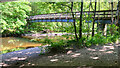 A Footbridge Conquers the Mighty River Braan