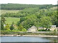 Catcleugh farm