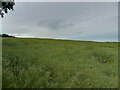 Hackpen Hill farmland