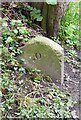 Mile Marker, Macclesfield Canal