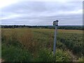 Footpath towards Childrey