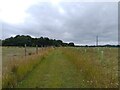 Footpath towards Kingston Lisle