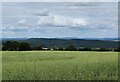 Farmland near Birch Wood Farm