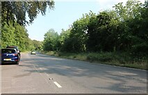 TL4953 : Babraham Road near Stapleford by David Howard