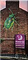 Tansy beetle mural, York