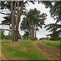 St Mary Magdalene and Bishop