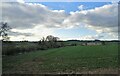 Crop field and hedgerow near Ascott d