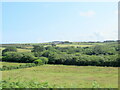 Fields off Gear Hill near Newmill