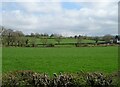 Grassland, Salford