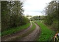 Track to Glyme Farm