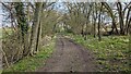 Green Lane near Lavenham