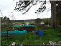 Allotments, Charlbury