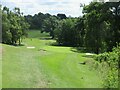 Braehead Golf Club, 6th Hole, Redwell