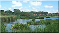 Fishlake Meadows from central viewing screen