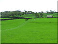 Farmland east of Field Head