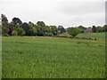 Arable land, Felkirk