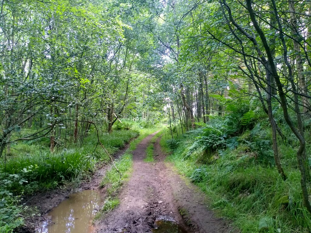 Muddy track © Aleks Scholz cc-by-sa/2.0 :: Geograph Britain and Ireland