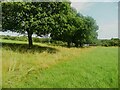 Footpath 21/2 approaching the end at the M62