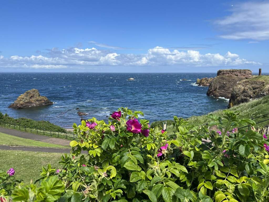 dunbar-harbour-mouth-jennifer-petrie-cc-by-sa-2-0-geograph-britain