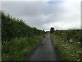 Minor road near Auchenteck Farm