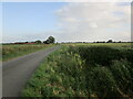 Wheat field and Carr Dyke Road