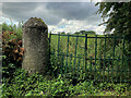 Pillar and gates, Ballynalargy