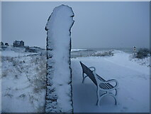 NT6679 : From Tyne To Tyne : Cold Bench, Clifftop Walk, Dunbar, East Lothian by Richard West