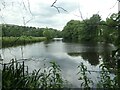 SD8165 : Southern end, mill pond, Langcliffe High Mill by Christine Johnstone