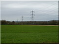 Field and power lines, Knighton