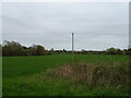 Farmland off Appletree Lane