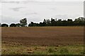 TM3860 : Farmland by N Chadwick