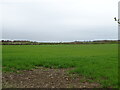 Field near Moorend Barn